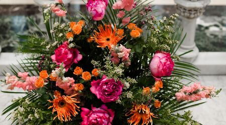 Deal of the Day - by Dormont Florist