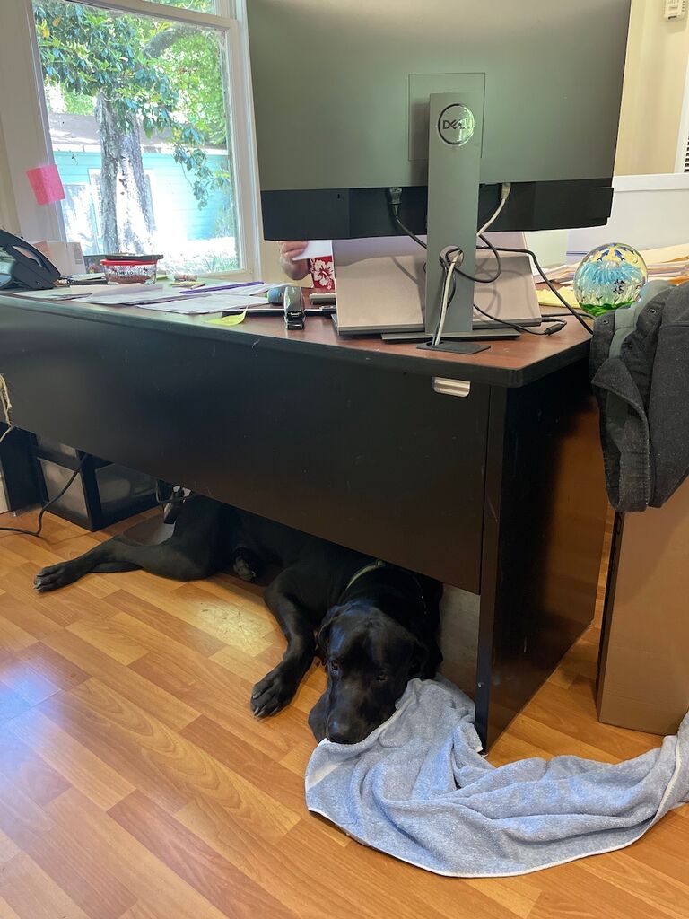 Guarding Mikey at the office