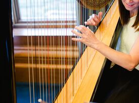 Emily Hinchey | Harpist - Harpist - Salt Lake City, UT - Hero Gallery 3