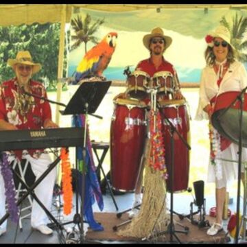 The Calypso Gypsies Steel Drum Band - Steel Drum Band - Diamond, OH - Hero Main