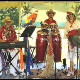 The Calypso Gypsies Steel Drum Band, profile image