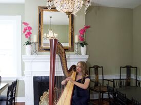 Molly Morgan - Harpist - Golden, CO - Hero Gallery 2