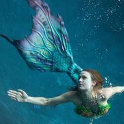 The Fae Mermaids, profile image