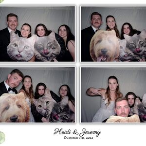 Gallery Photo 42
