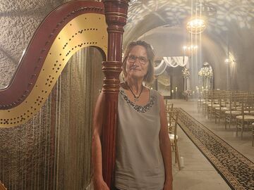 Sue Druckenmiller - Harpist - Saint Ann, MO - Hero Main