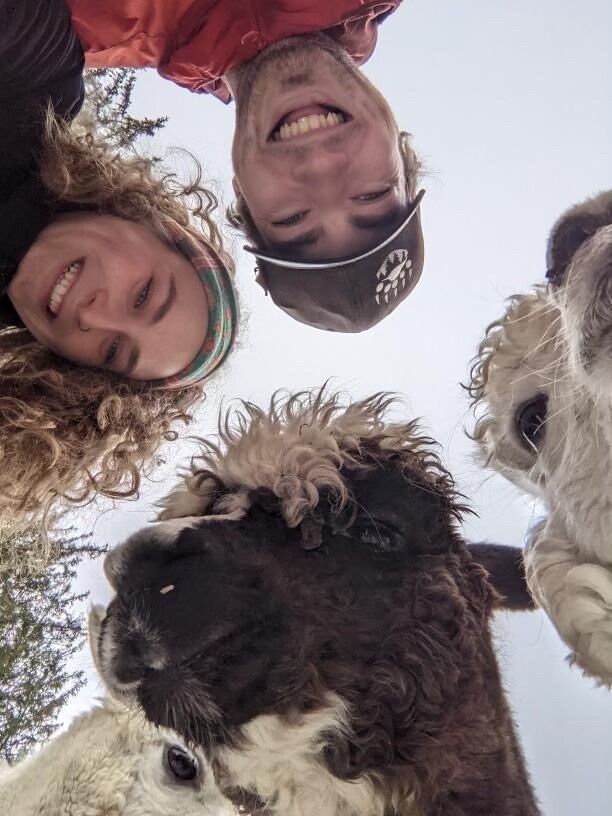 Visiting some Alpacas while in Ontario to spend Christmas with Josh's family. 