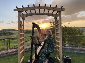 Divine Harp Music - Harpist - Parker, CO - Hero Gallery 4