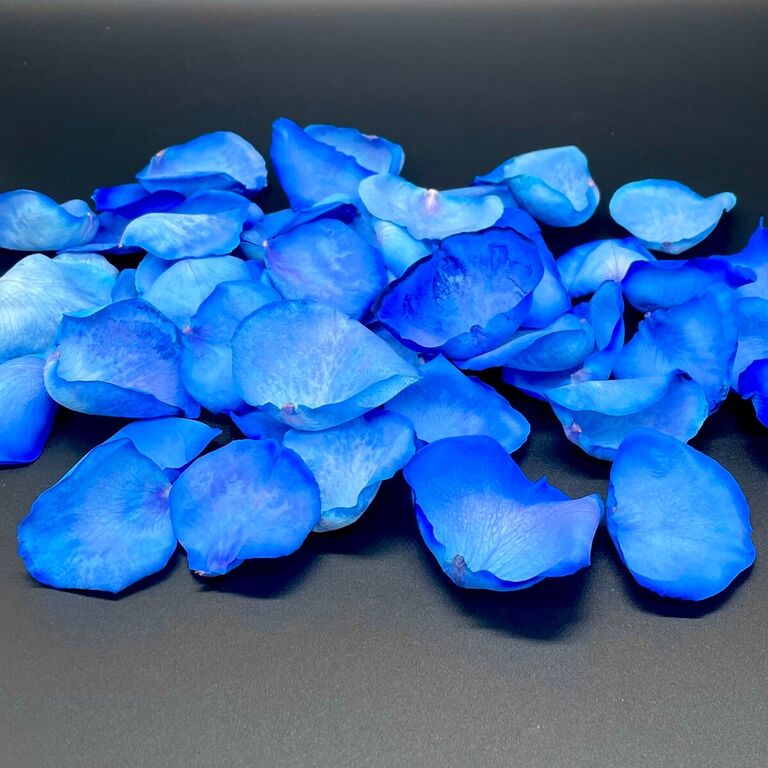 Single blue rose petals
