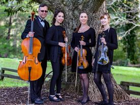 SUMMIT Strings - String Quartet - Boone, NC - Hero Gallery 3