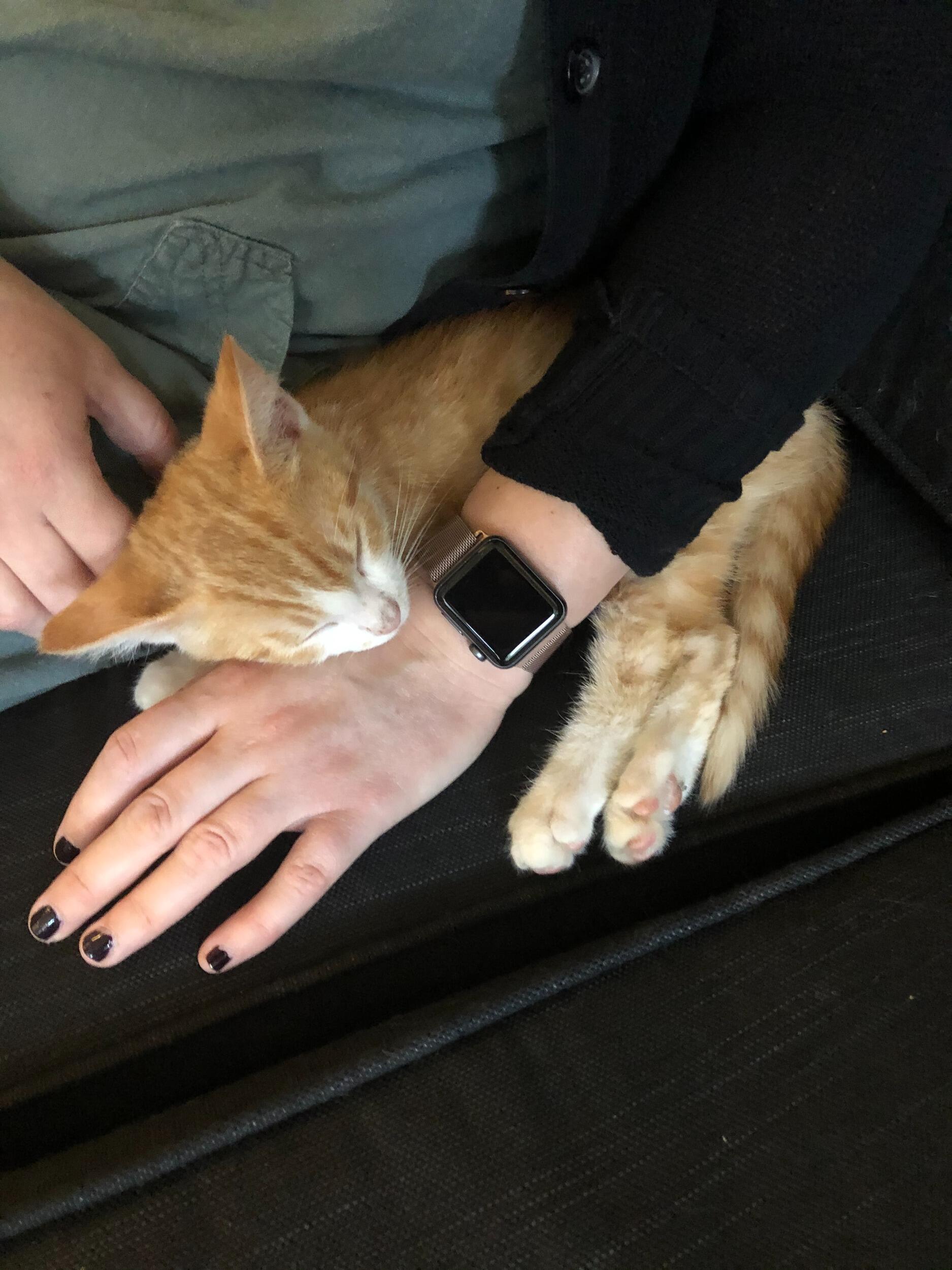 Oliver chooses his family at the Catcade