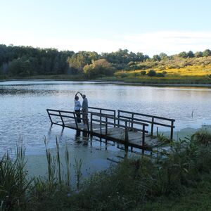 Gallery Photo 1