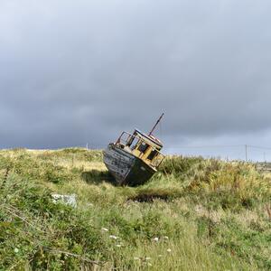 Gallery Photo 8