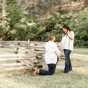 Gallery Photo 37