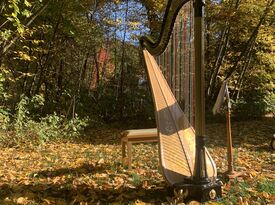Terrease Aiken - Harpist - Harpist - Poughquag, NY - Hero Gallery 4