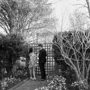 Gallery Photo 9