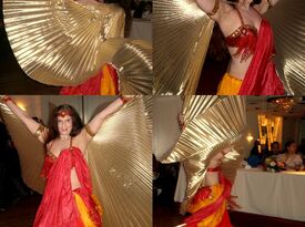 Sabrina Mevlana Belly Dancer and Instructor - Belly Dancer - Garden City, NY - Hero Gallery 1