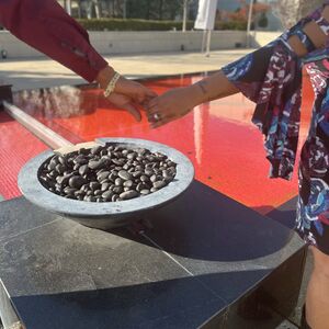 Gallery Photo 22