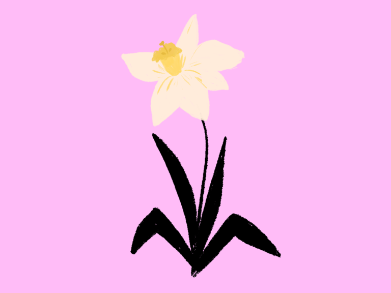 Narcissus December birth flower