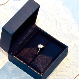Gallery Photo 24