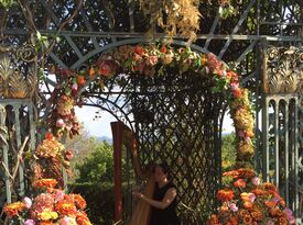 City Winds Harp Duo and Piano - Harpist - Lincoln Park, NJ - Hero Gallery 1