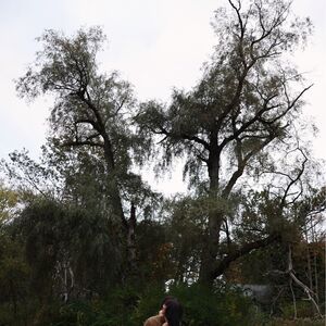 Gallery Photo 10