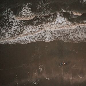 Gallery Photo 115