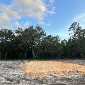 Gallery Photo 18