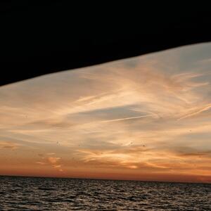 Gallery Photo 25