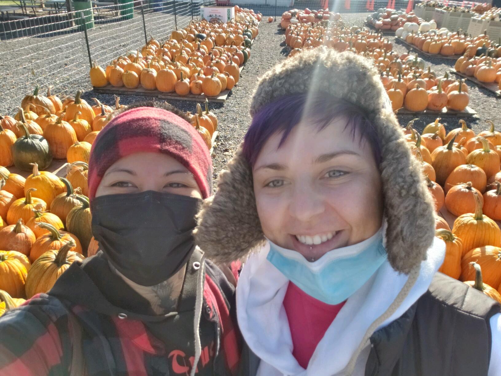 Pumpkin 🎃 patch. 
