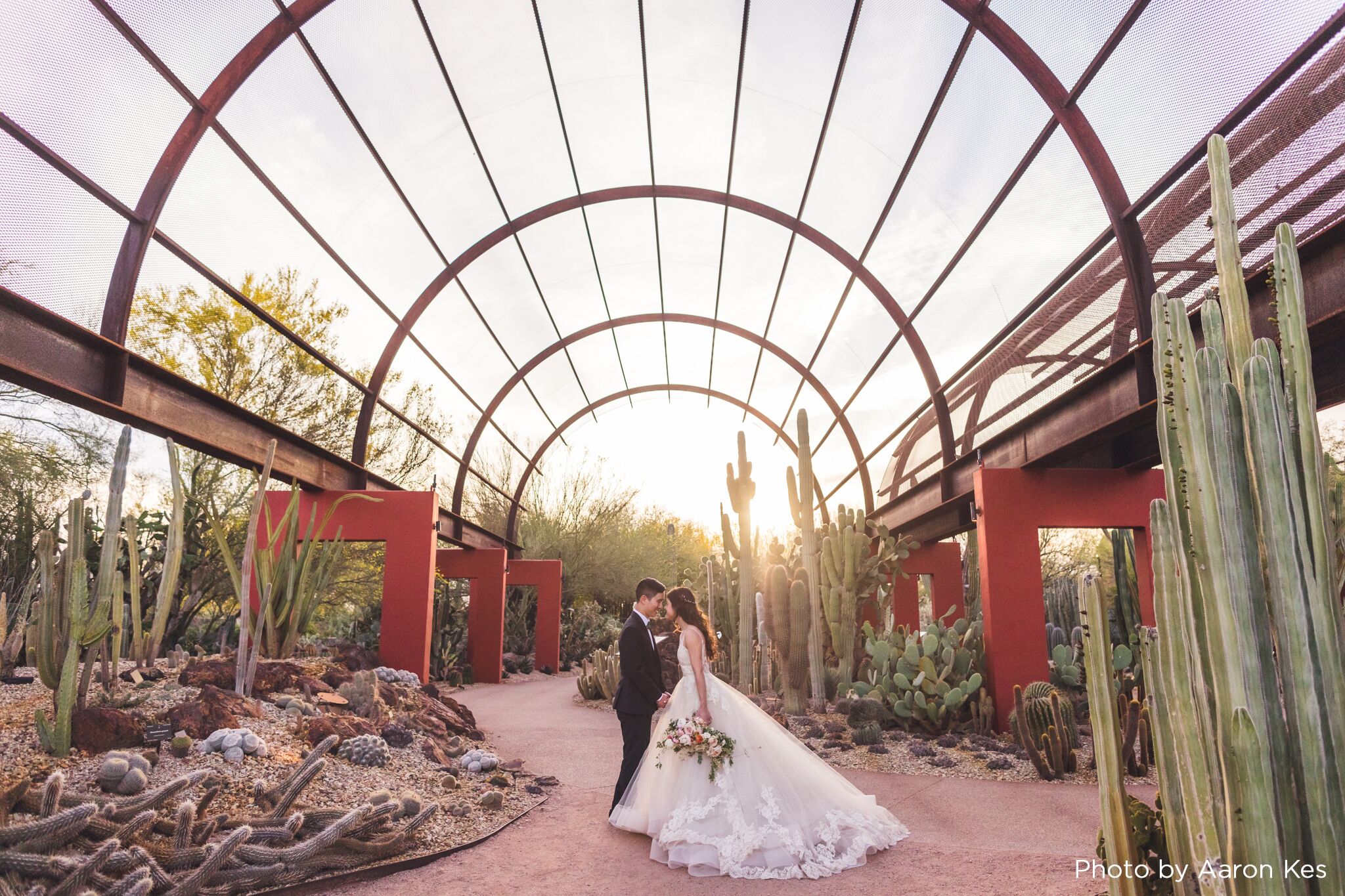 Desert Botanical Garden Reception Venues Phoenix Az