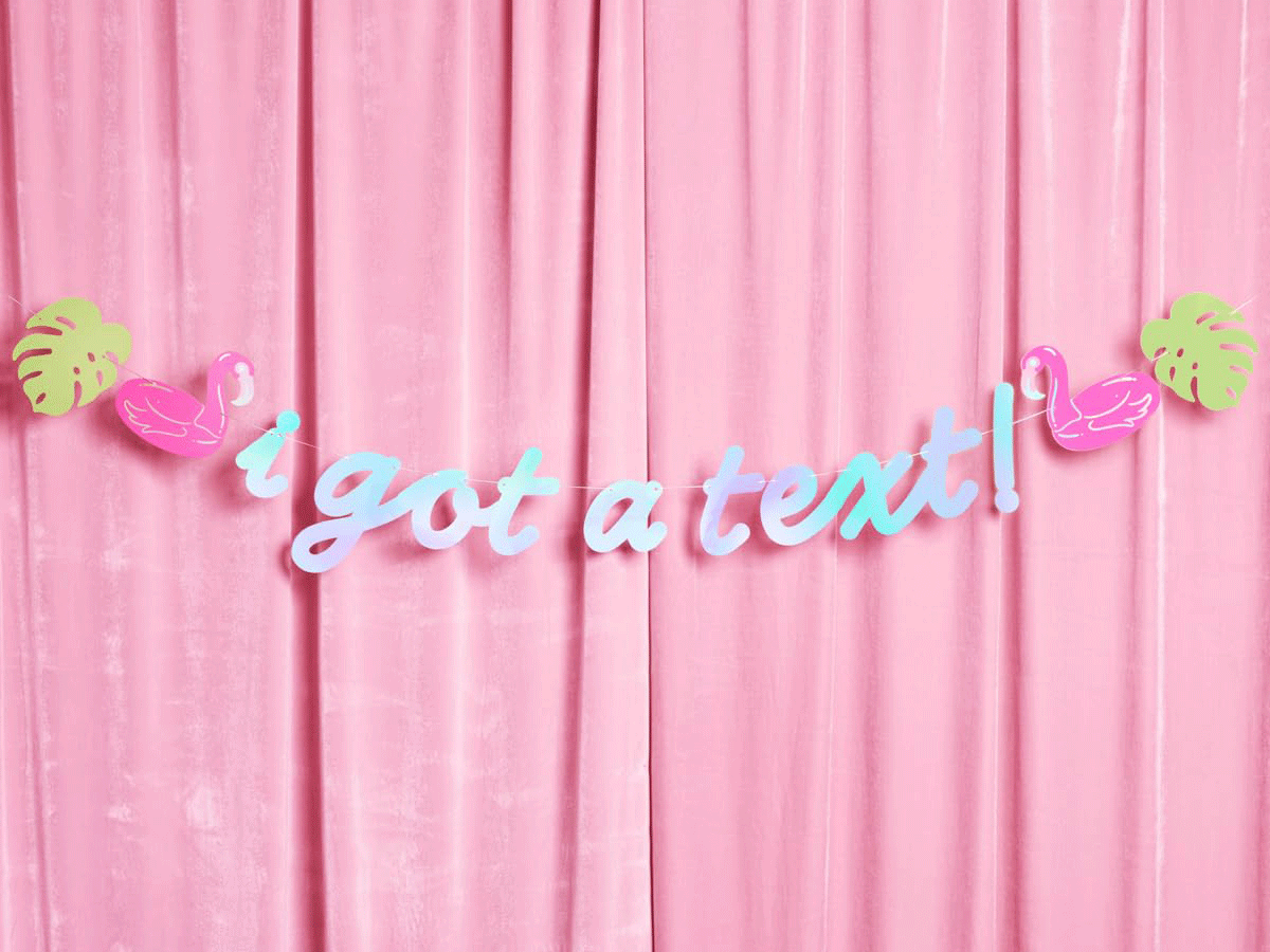 "I got a text" banner bachelorette party decoration