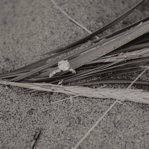 Gallery Photo 2