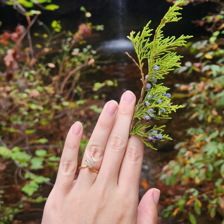 A beautiful glance at the ring Jacob made for Taylor. 