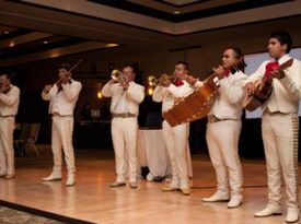 Mariachi Espuelas De Plata - Mariachi Band - Dallas, TX - Hero Gallery 2