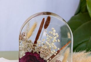 Preserved Rodanthe in White  Shop Dried Flowers at