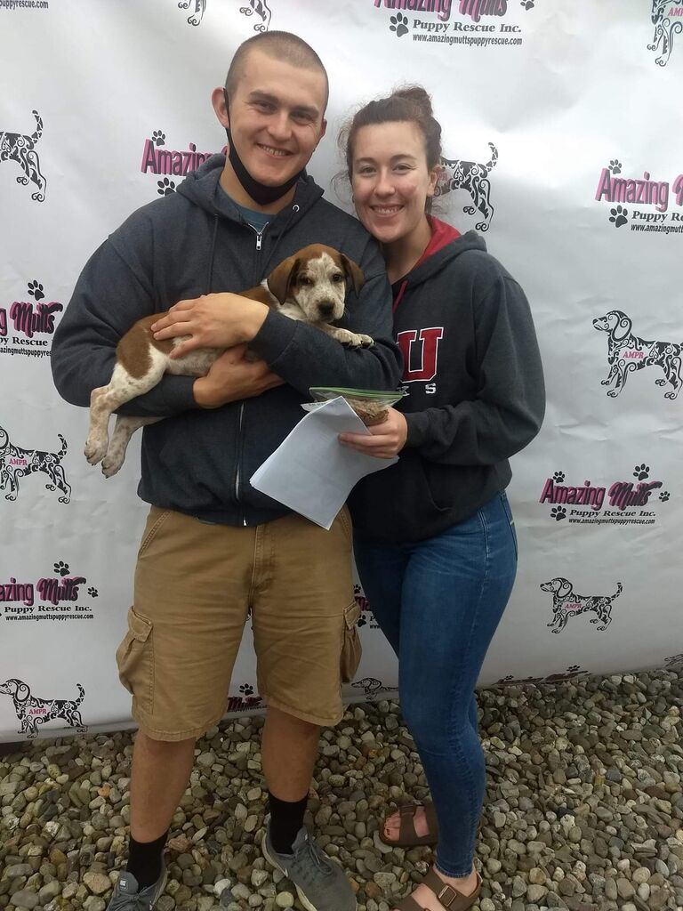 The two decided it was time to add to the family and became dog parents to baby Sammie.