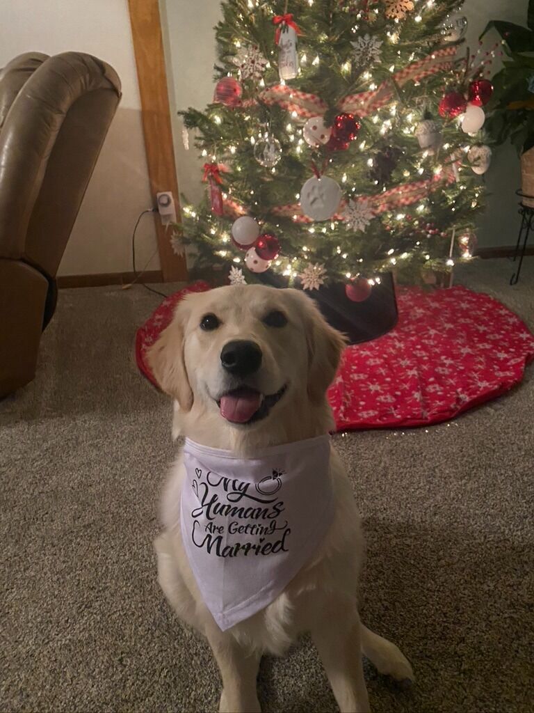 June was so happy to hear the news when we returned home!!