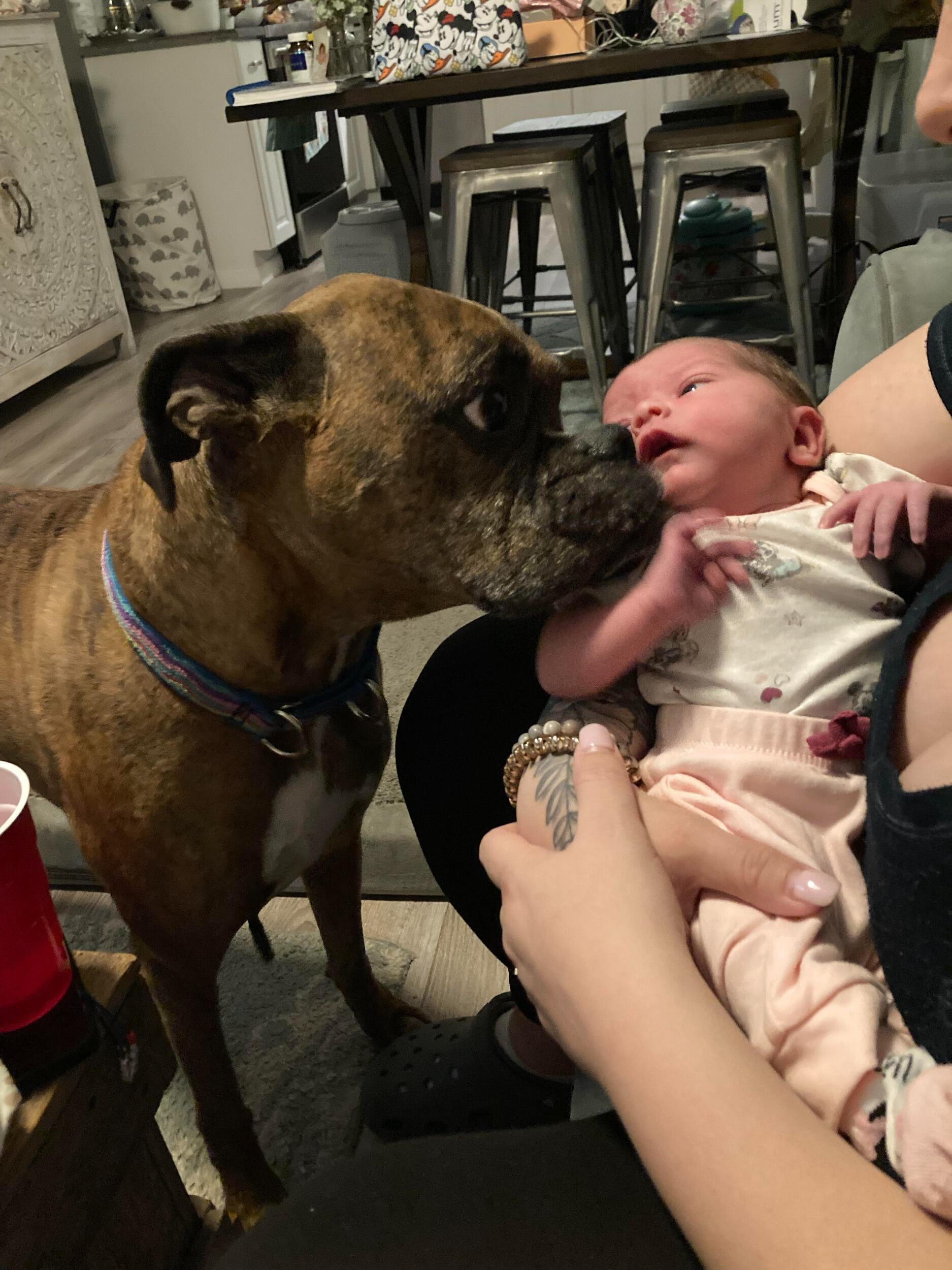 Our Harley girl loved Olivia so such!