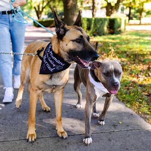 Gallery Photo 1