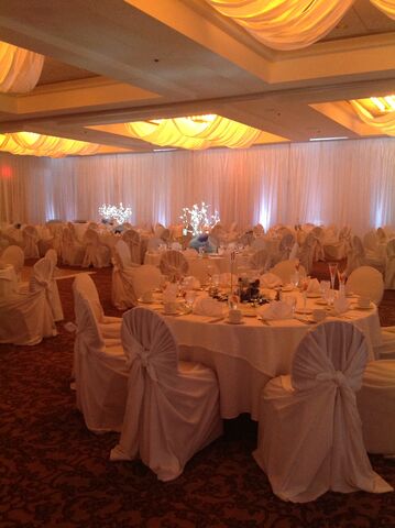 Sheraton Detroit Novi  Reception  Venues  Novi  MI 