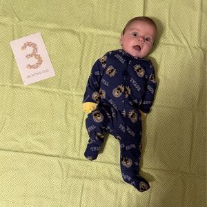 Gallery Photo 32