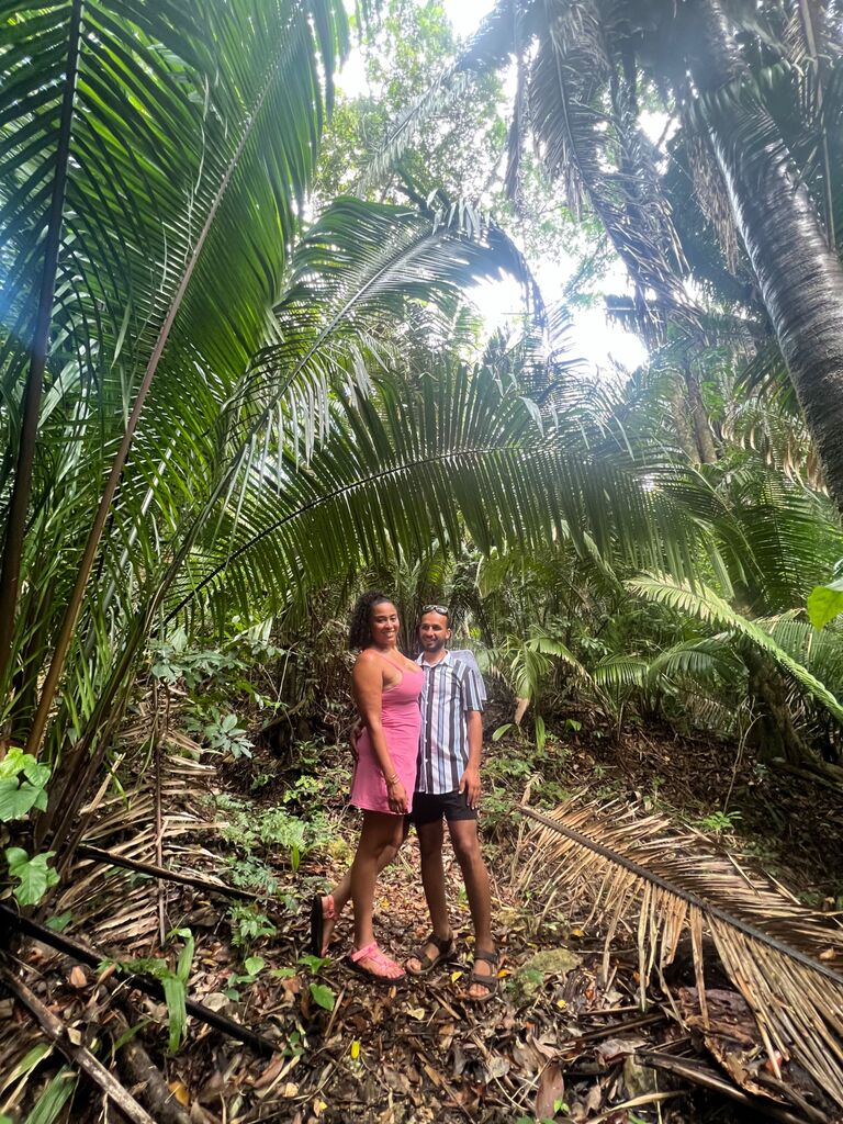 Rainforest - Roatan, Honduras