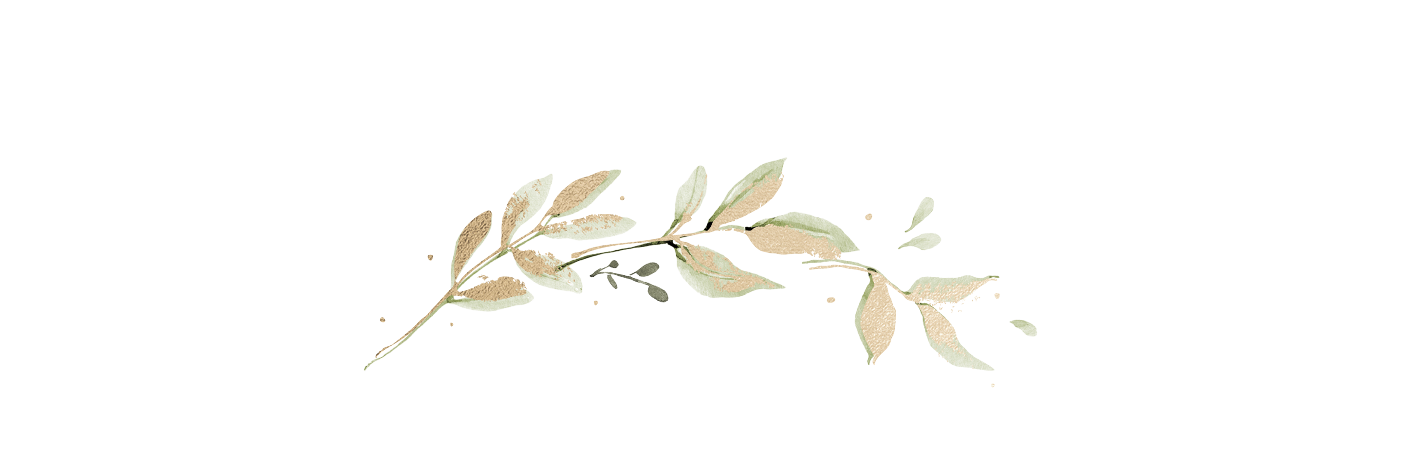 Top Theme Image