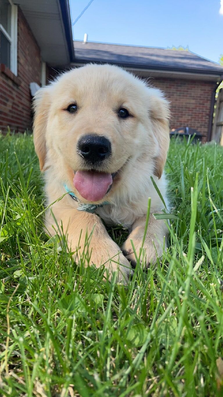 When they got back, they welcomed Laney to the family <3