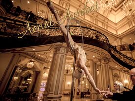 Aerial Acrobat & Circus Entertainment - Acrobat - New York City, NY - Hero Gallery 2