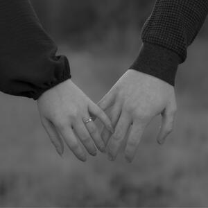 Gallery Photo 8