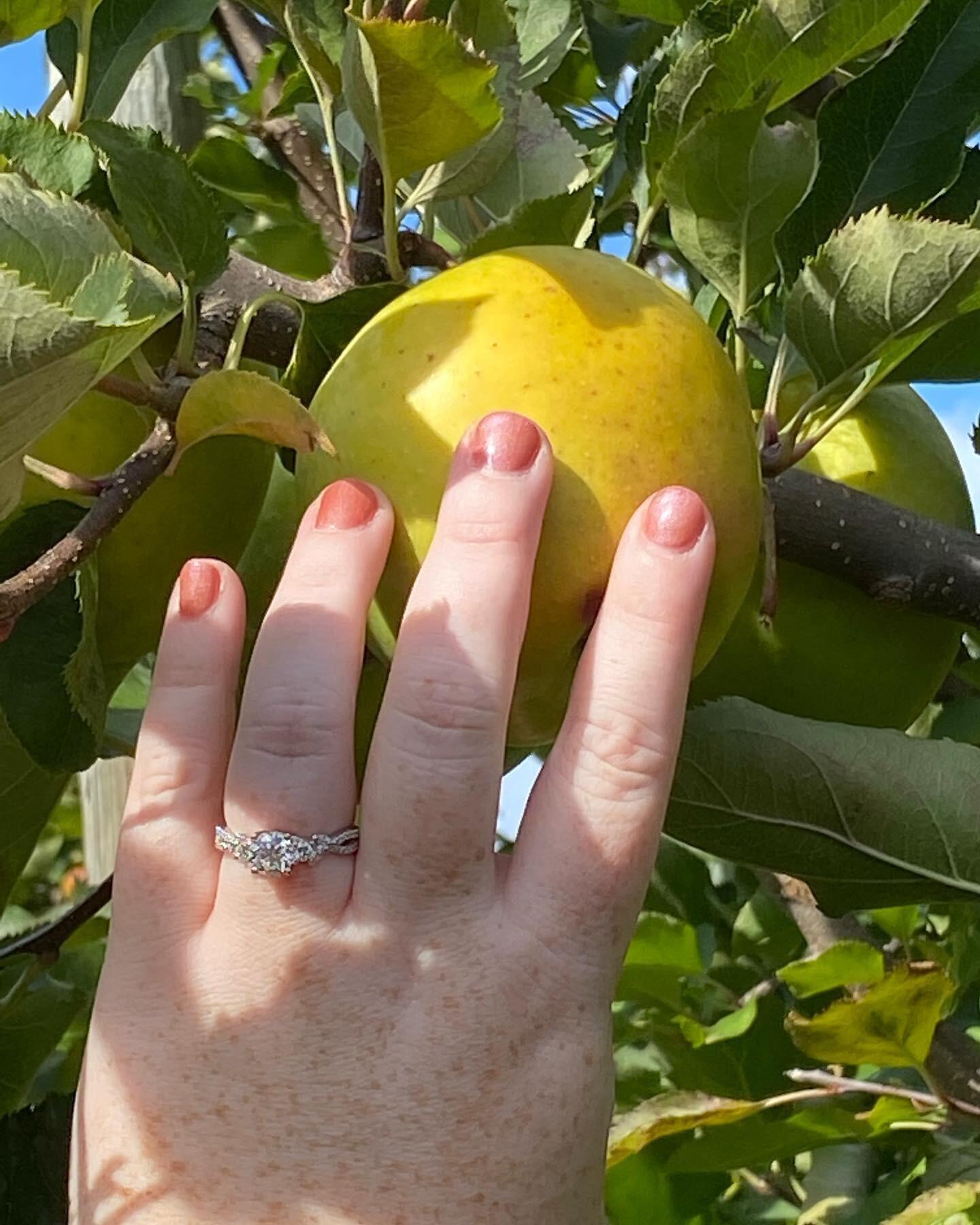 Our fall fun came full circle when Mike proposed at an apple orchard!
