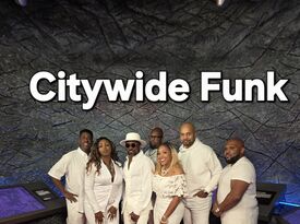 Citywide Funk - Variety Band - Spring, TX - Hero Gallery 1