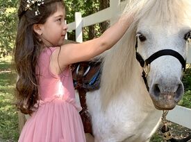 Llamazing Party Animals - Petting Zoo - Palmer, TX - Hero Gallery 3