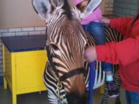 Whitley Acres Exotic Ranch & Stables - Petting Zoo - Levelland, TX - Hero Gallery 3